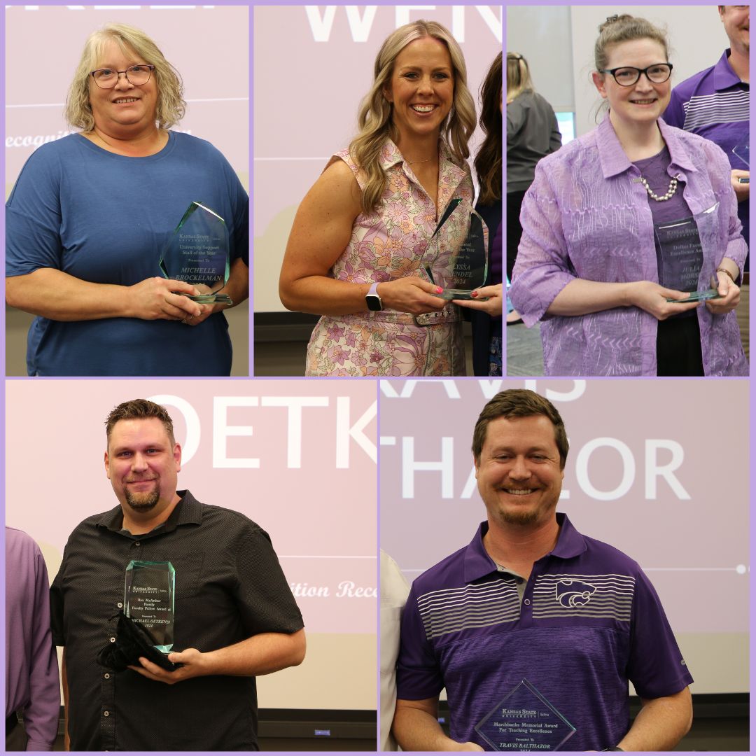 5 K-State Salina faculty and staff are honored with annual campus awards news release link